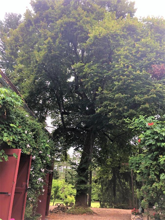 Chambres D'Hotes Les Coustilles Saint-Alvère Exteriör bild